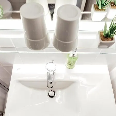 Pallas 다름슈타트